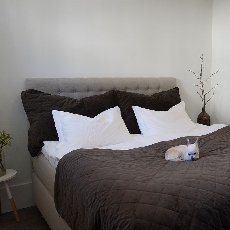 Arctic Premium One 180x200 Kontinentalseng